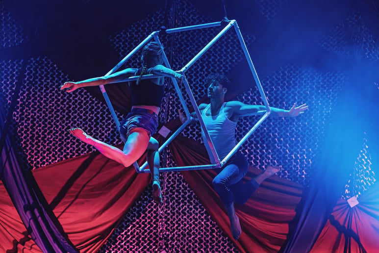 Gallery photo 8 of Aerial Silks, Lyra and Rope performer