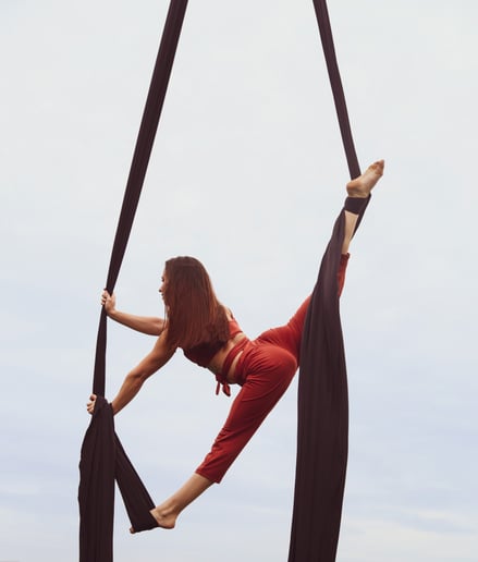 Gallery photo 2 of Aerial Silks