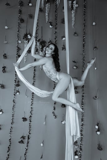 Gallery photo 6 of Aerial Silks