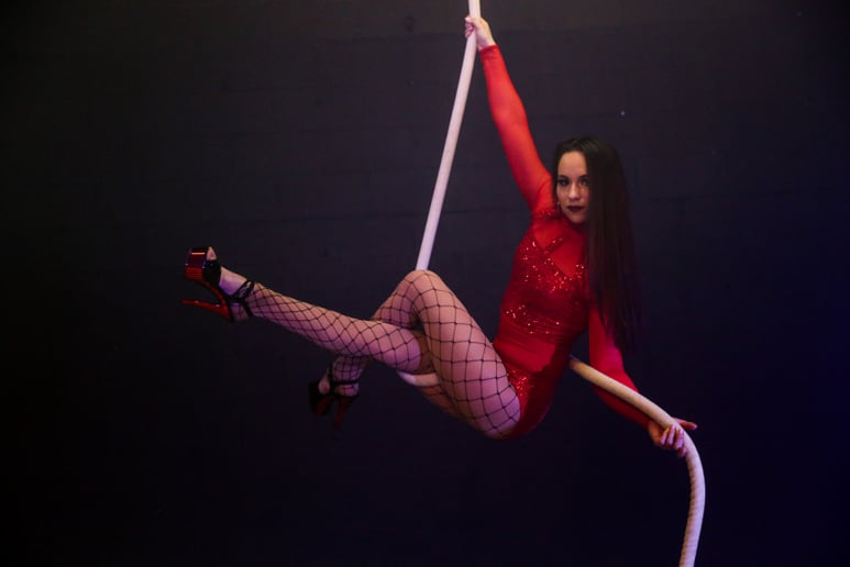 Gallery photo 7 of Aerial Silks