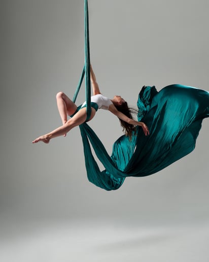Gallery photo 29 of Malin Aerial Dance LLC