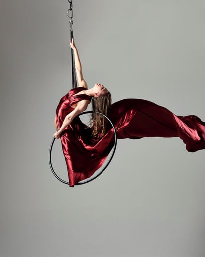 Gallery photo 31 of Malin Aerial Dance LLC