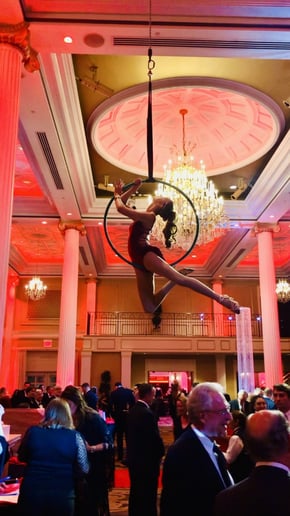 Gallery photo 3 of Malin Aerial Dance LLC