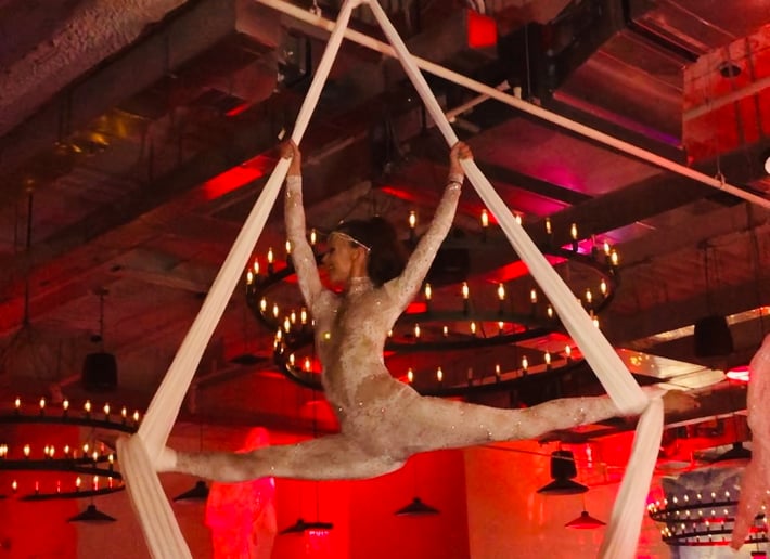 Gallery photo 19 of Malin Aerial Dance LLC