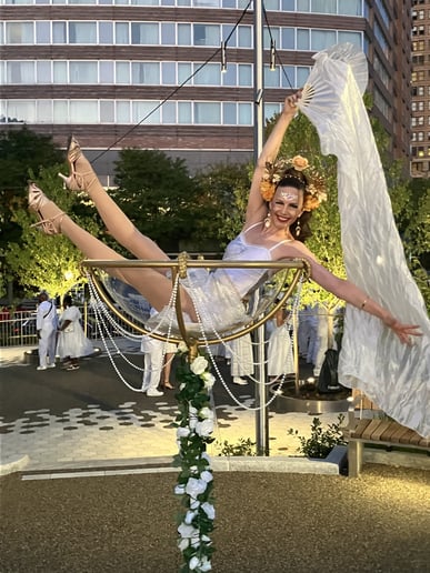 Gallery photo 10 of Malin Aerial Dance LLC