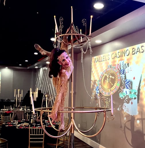Gallery photo 6 of Malin Aerial Dance LLC