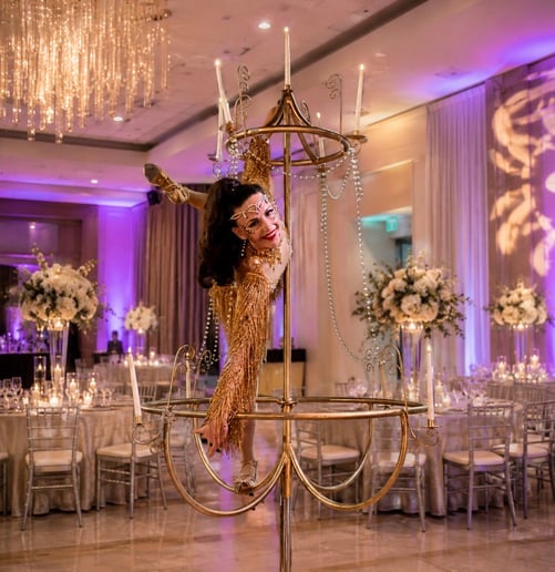 Gallery photo 7 of Malin Aerial Dance LLC