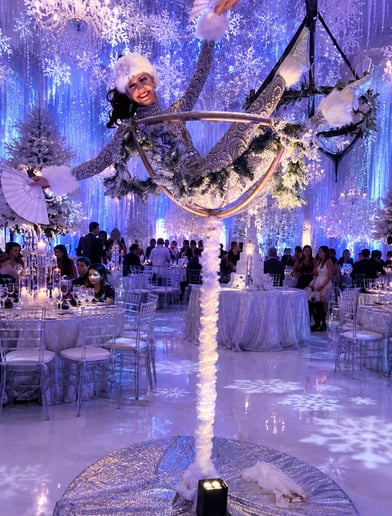 Gallery photo 26 of Malin Aerial Dance LLC