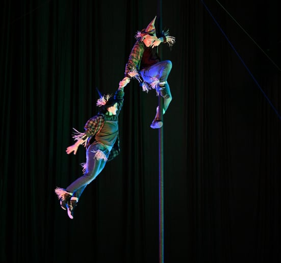 Gallery photo 3 of Layton Hahs - Fabric & Pole Artist
