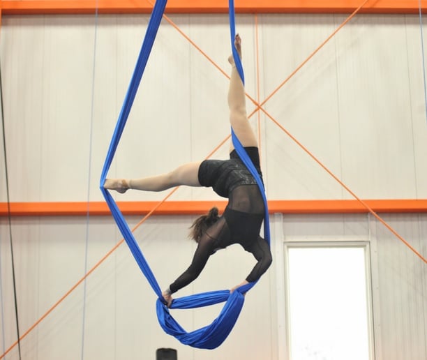 Gallery photo 10 of Layton Hahs - Fabric & Pole Artist