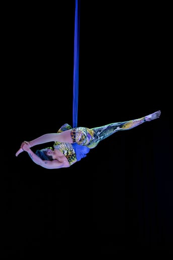 Gallery photo 8 of Layton Hahs - Fabric & Pole Artist