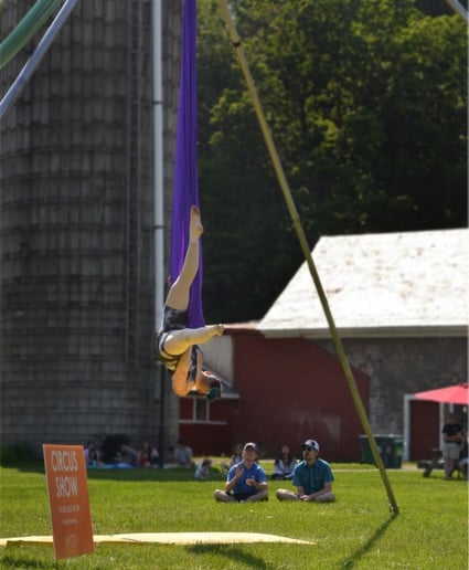 Gallery photo 6 of Layton Hahs - Fabric & Pole Artist