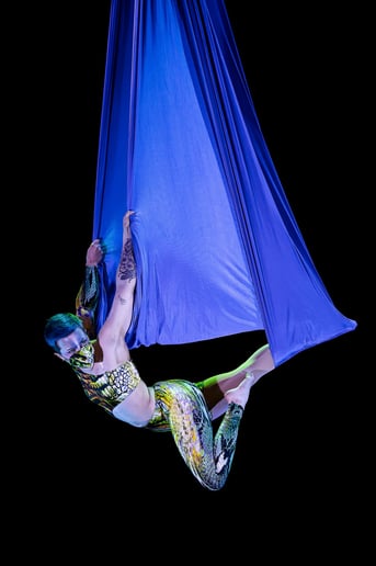 Gallery photo 4 of Layton Hahs - Fabric & Pole Artist