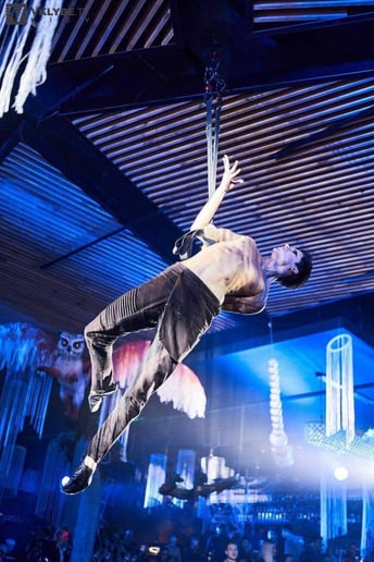 Gallery photo 7 of Aerial Straps, Aerial Silks
