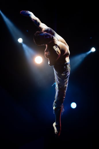 Gallery photo 1 of Aerial straps