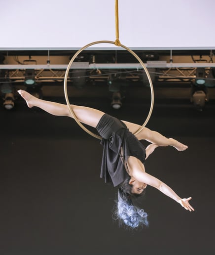 Gallery photo 1 of Aerial Straps