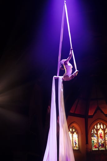 Gallery photo 3 of Aerial Straps