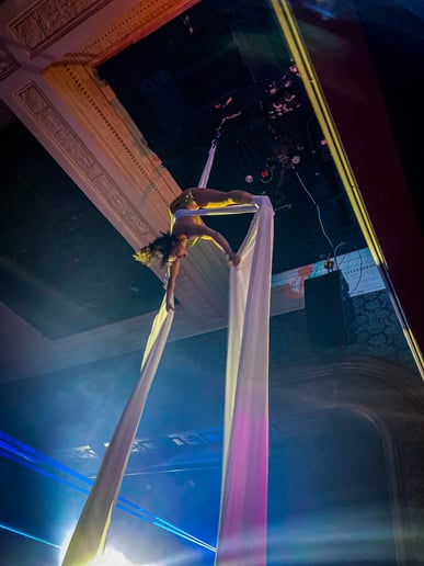 Gallery photo 4 of Aerial Straps