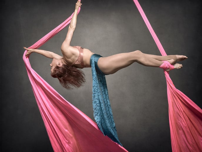 Gallery photo 1 of Aerialist- Lisa-Marie Burnside