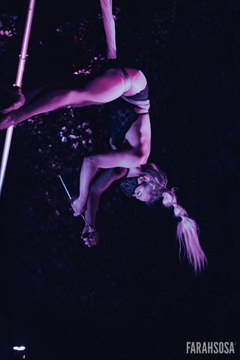 Gallery photo 7 of Aerialist- Lisa-Marie Burnside