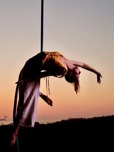 Gallery photo 5 of Aerialist - Ambient or Routine Acts