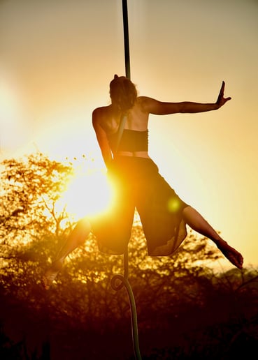 Gallery photo 7 of Aerialist - Ambient or Routine Acts