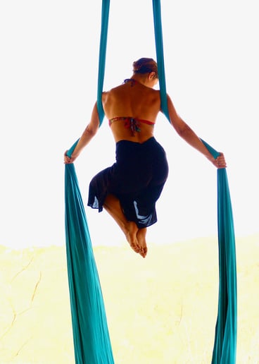 Gallery photo 6 of Aerialist - Ambient or Routine Acts