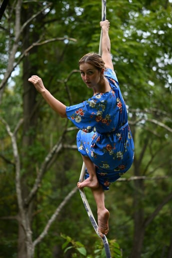 Gallery photo 10 of Aerialist - Ambient or Routine Acts