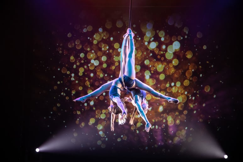 Gallery photo 1 of KC Aerial Arts – Unforgettable Aerial, Fire & LED Entertainment