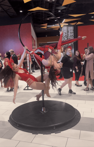 Gallery photo 3 of KC Aerial Arts – Unforgettable Aerial, Fire & LED Entertainment