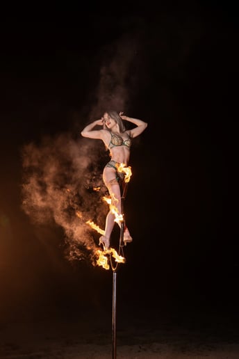 Gallery photo 5 of Gigi Noree, Aerialist & Specialty Performer