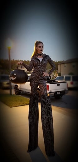 Gallery photo 9 of Aerialist and stilt walker