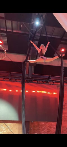 Gallery photo 8 of Aerialist and stilt walker