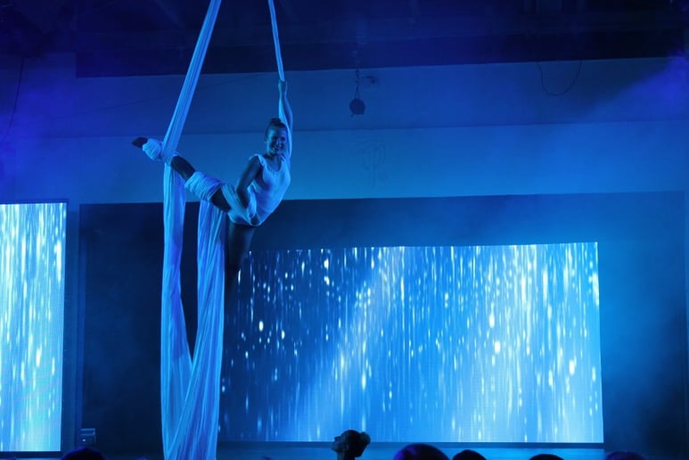 Gallery photo 3 of Aerialist and Trapeze Artist