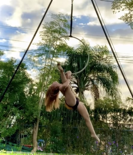 Gallery photo 2 of Aerialist and Trapeze Artist