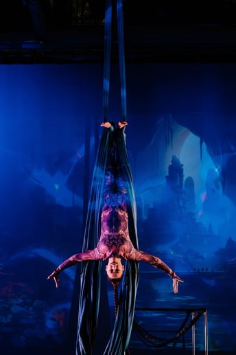 Gallery photo 1 of Aerialist Andria Rabenold-Seaver