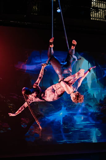 Gallery photo 2 of Aerialist Andria Rabenold-Seaver