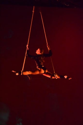 Gallery photo 5 of Aerialist Andria Rabenold-Seaver