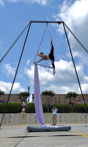 Gallery photo 6 of Aerialist Avery
