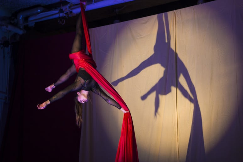 Gallery photo 2 of Alyssa Gerharter - Aerialist