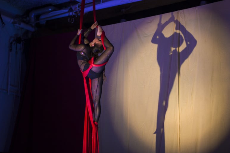 Gallery photo 8 of Alyssa Gerharter - Aerialist