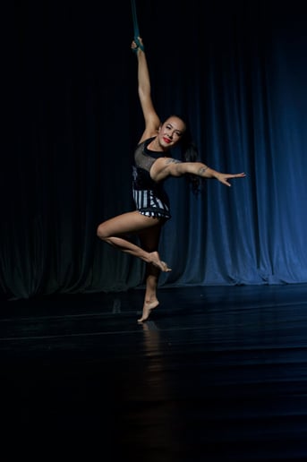 Gallery photo 1 of Alyssa Gerharter - Aerialist