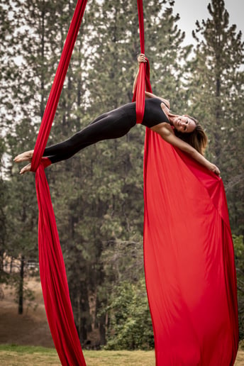 Gallery photo 2 of Aerialist