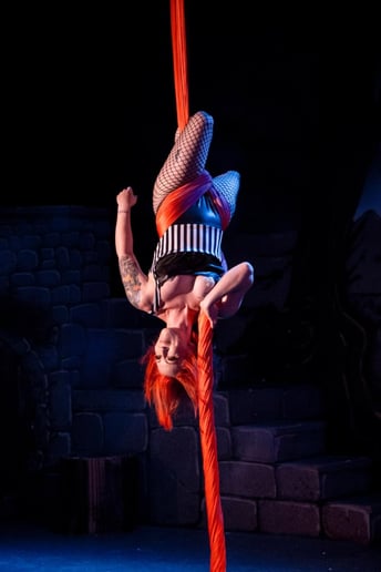 Gallery photo 4 of Aerialist - Dallas