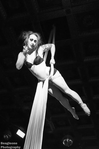 Gallery photo 6 of Aerialist - Dallas