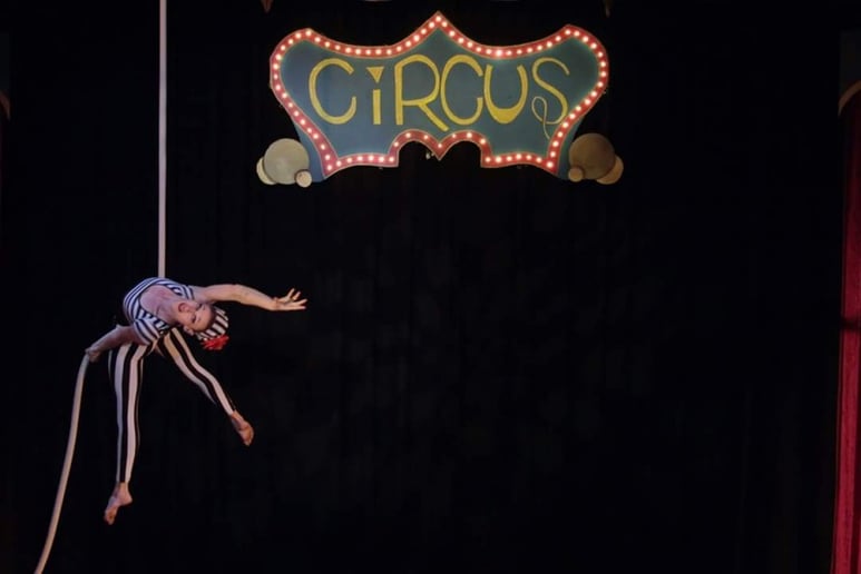 Gallery photo 7 of Aerialist Elizabeth