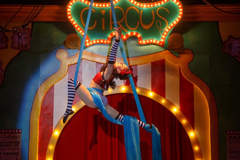 Gallery photo 9 of Aerialist Elizabeth