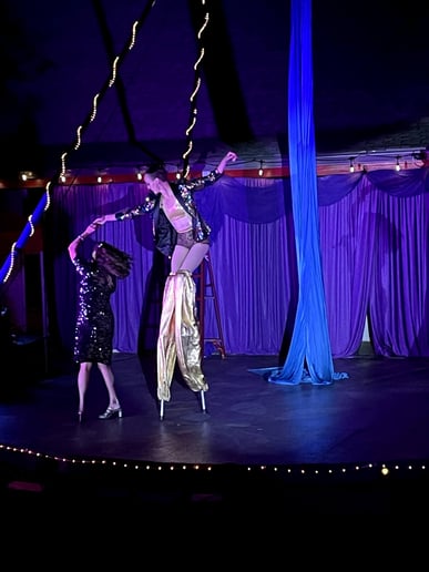 Gallery photo 5 of Aerialist Elizabeth