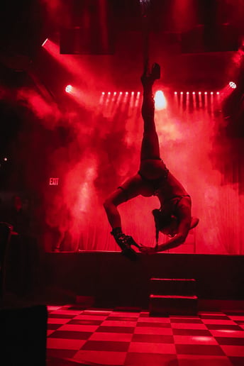 Gallery photo 1 of Aerialist, Fire Performer, Burlesque