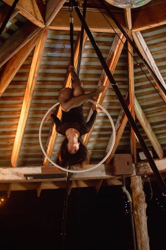 Gallery photo 2 of Chelsea - Aerialist